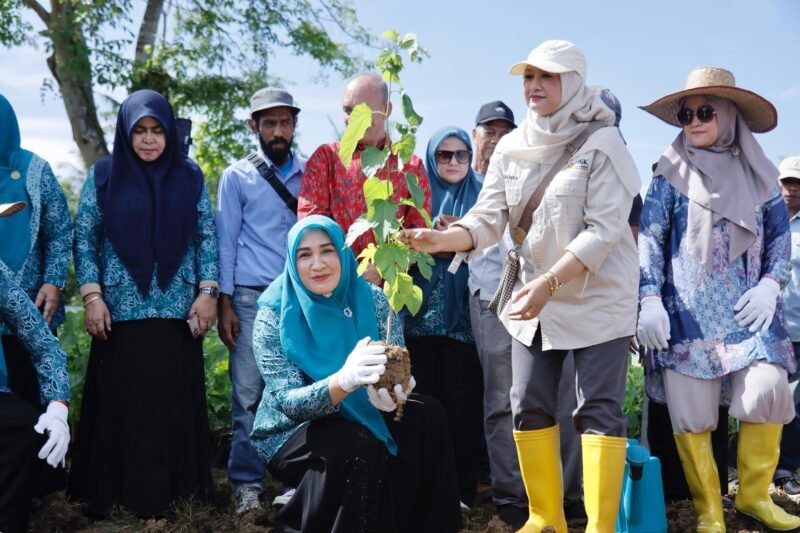 Marlina Muzakir Tanam Murbei, Dorong Kebangkitan Sutera Aceh. Foto: Dok. Biro Adpim Setda Aceh