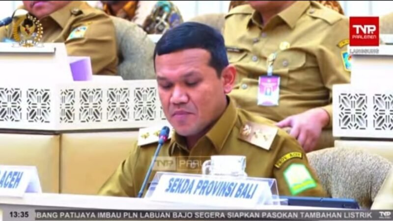 Wakil Gubernur (Wagub) Aceh Fadhlullah (Dek Fad). Foto: Dok. Ist