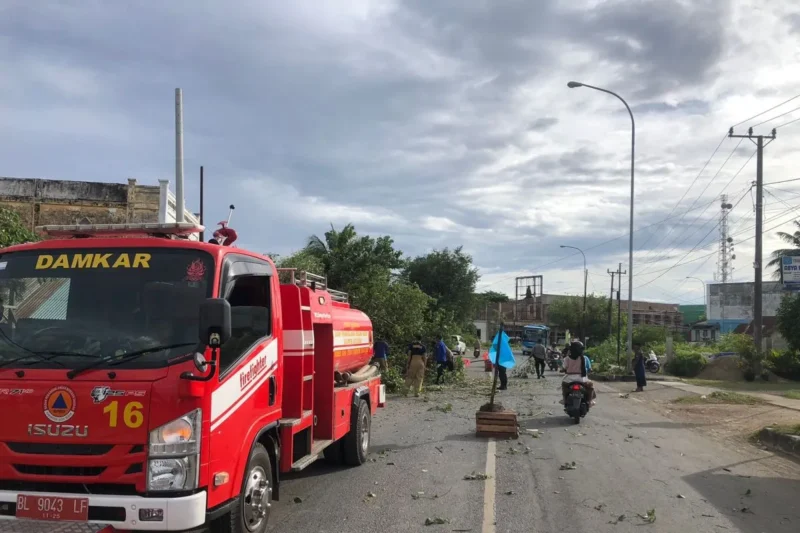 Petugas BPBD Aceh Besar sedang membersihkan pohon yang tumbang di badan jalan