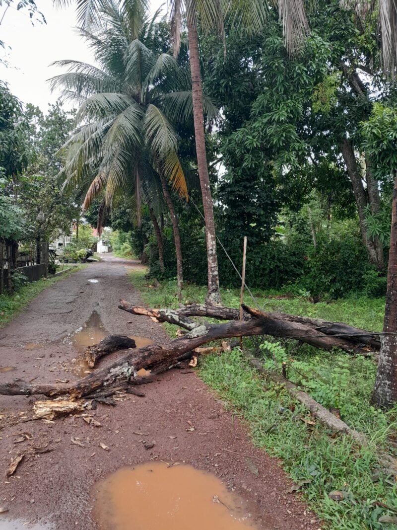 Jalan menuju kuburan umum Gampong Tanjong Selamat, Darussalam, Aceh Besar. Foto: Dok. Pribadi/AcehNow