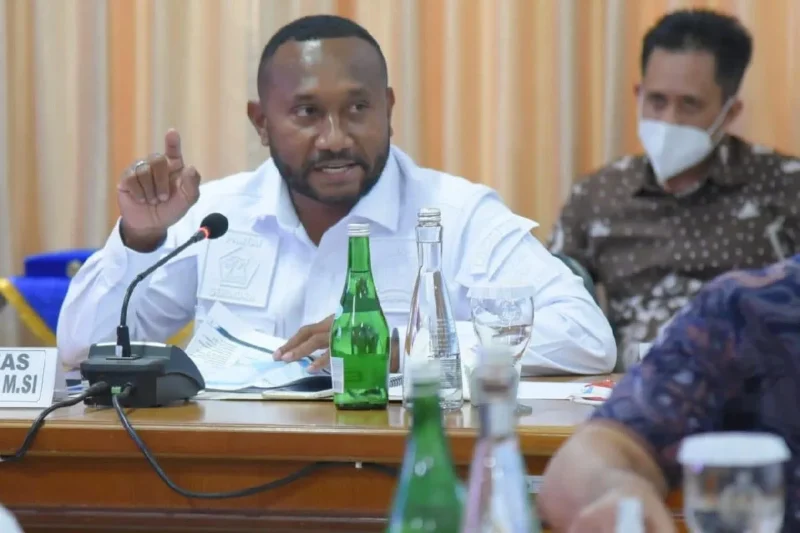 Anggota DPR RI Dapil Papua Yan Permenas Mandenas. ANTARA/HO/Dokumentasi.