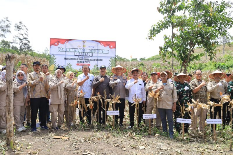 Wakapolda Aceh Panen Raya Jagung Serentak Kuartal II. Foto: Dok. Bidhumas Polda Aceh