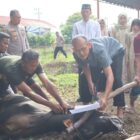 Polresta Banda Aceh Sembelih Hewan Kurban, Dibagikan Kepada Yang Berhak. Foto: Dok. Bidhumas Polresta Banda Aceh