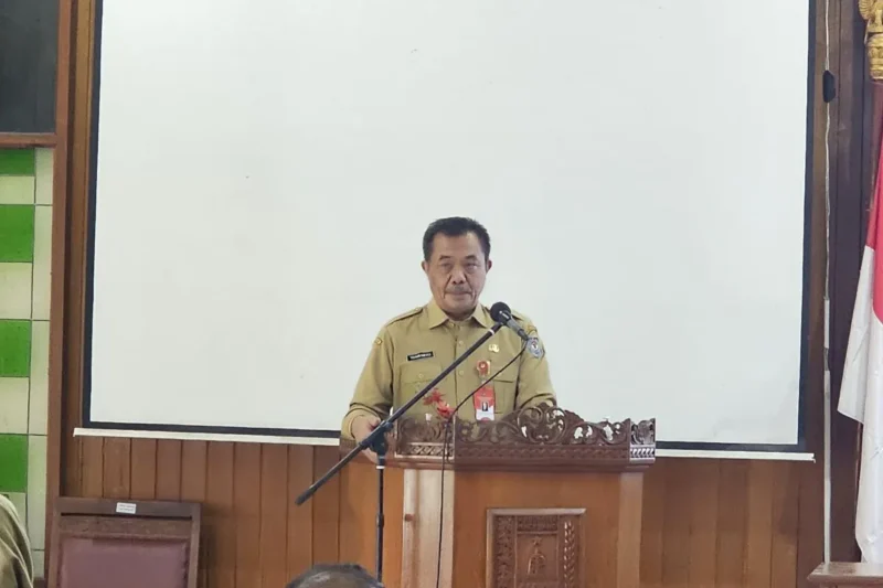 Kepala Badan Strategi Kebijakan Dalam Negeri (BSKDN) Kemendagri Yusharto Huntoyungo. (ANTARA/HO-Kemendagri)