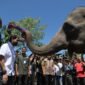 Tinjau Lokasi Konservasi Gajah di Aceh Tengah, Mualem Komitmen Atasi Konflik Manusia-Satwa Liar. Foto: Ist