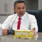 Gubernur Riau (Gubri), Abdul Wahid. FOTO: dok. Mediacenter Riau/ji