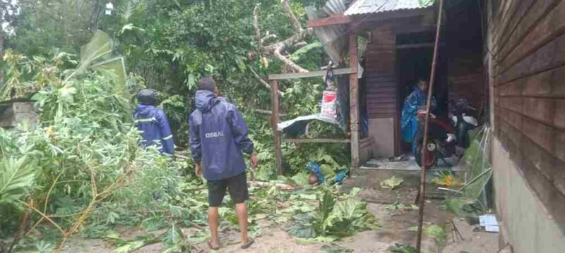 Tampak petugas BPBD Kabupaten Simeulue sedang membersihkan pohon tumbang yang menimpa rumah warga.(Foto: Agus Muliadi/Acehnow)