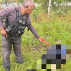 Jenazah korban penganiayaan yang dilakukan KKB di Dekai, Kabupaten Yahukimo. (ANTARA/HO/Satgas Damai Cartenz)