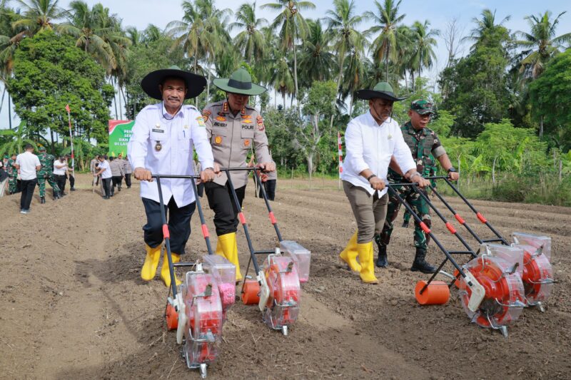 Wakil Bupati Aceh Besar Drs H Syukri A Jalil bersama Kapolresta Banda Aceh Kombes Pol, Joko Heri Purwono, SH, S.I.K, melakukan penanaman Jagung Serentak Kuartal III, bertempat di Gampong (desa-red) Bada, Kecamatan Ingin Jaya, Rabu (09/07/2025). Foto: Dok. Tika Fitri Lestari/Acehnow.com