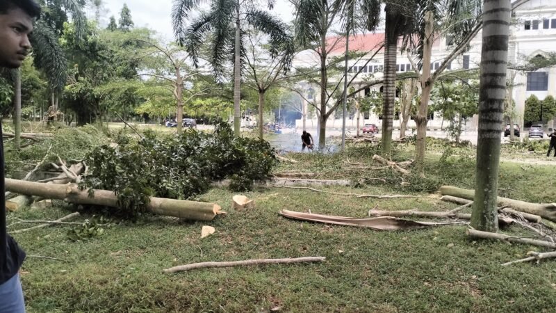 Pemkab Tertibkan Area Depan Kantor Bupati, Pohon Ditebang, Wajah Kantor Bupati Pidie Jaya Mulai “Dipoles”. Foto: Dok. Jamal Pangwa/iNews
