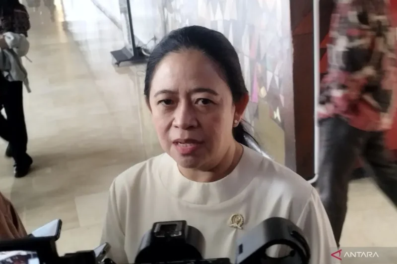 Ketua DPR RI Puan Maharani di kompleks parlemen, Jakarta, Kamis (3/7/2025). (ANTARA/Bagus Ahmad Rizaldi)