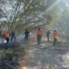 Sejumlah satgas gabungan berupaya memadamkan api yang membakar hutan dan lahan di Kabupaten Solok, Sumatera Barat, Sabtu (19/7). (Foto: BPBD Kabupaten Solok)