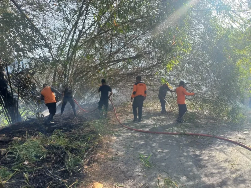 Sejumlah satgas gabungan berupaya memadamkan api yang membakar hutan dan lahan di Kabupaten Solok, Sumatera Barat, Sabtu (19/7). (Foto: BPBD Kabupaten Solok)