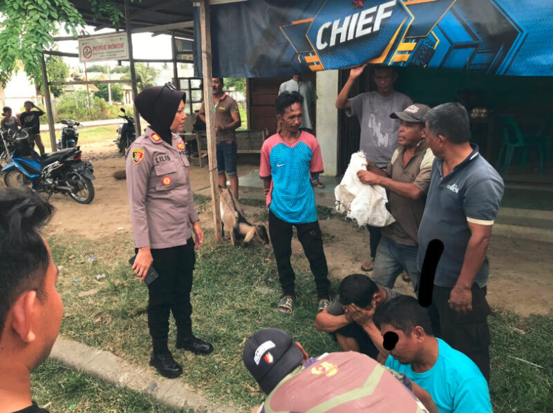 Dua pelaku pencurian ternak warga Komplek Arab Saudi.