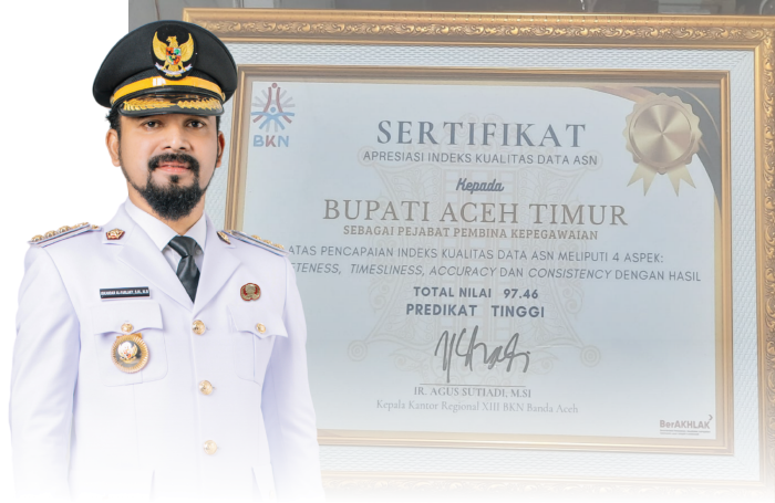 Bupati Al-Farlaky Terima Sertifikat Apresiasi Indeks Kualitas Data ASN dari BKN. dok. Diskominfo Kab. Aceh Timur