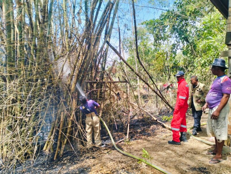 Petugas Damkar BPBD Aceh Besar melakukan pendinginan terhadap rumpun bambu yang terbakar, di Kawasan Gampong Seuot, Kecamatan Indrapuri, Kabupaten Aceh Besar, Selasa (26/8/2025). dok. MC ACEH BESAR