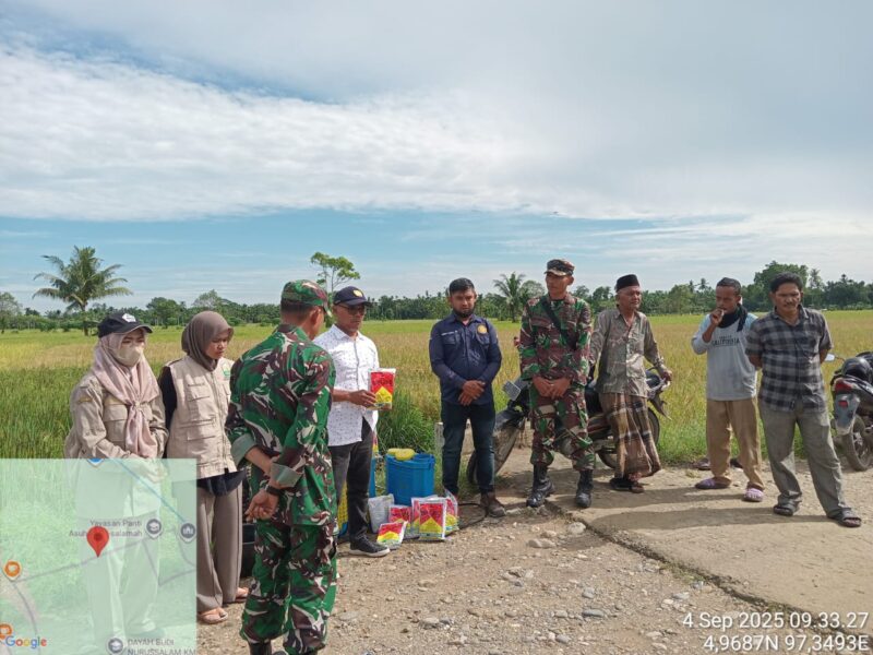 Dinas Pertanian Kabupaten Aceh Utara bersama petugas Pengendali Organisme Pengganggu Tumbuhan (POPT) menggelar gerakan pengendalian hama wereng batang cokelat (WBC) di Desa Alue Drien, Kecamatan Cot Girek, Kamis (4/9/2025). dok. Ist