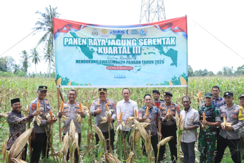 Polres Aceh Utara mengambil bagian dalam kegiatan panen raya jagung kuartal III tahun 2025 di lahan seluas 2 hektare di Gampong Tanjong Ara, Kecamatan Tanah Jambo Aye, Sabtu (27/9/2025). dok. Polres Aceh Utara