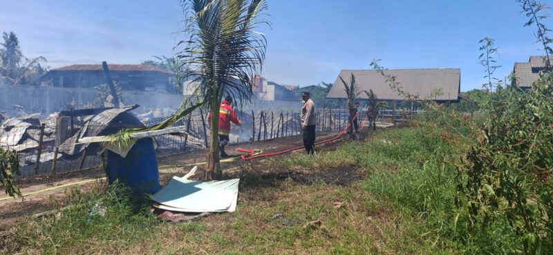 Kandang ayam tempat praktek nya mahasiswa Kedokteran Hewan USK mengalami kebakaran siang tadi, Kamis (25/9/2025). dok. Polresta Banda Aceh