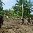 Brigif TP 90/YGD Olah lahan tidur jadi lahan produktif. dok. Pendam IM