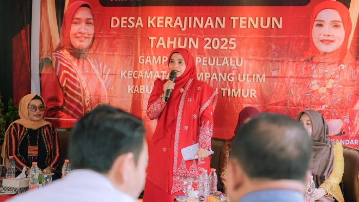 Tim Pembina Desa Kerajinan Dekranasda Aceh Sambangi Desa Pengrajin di Aceh Timur. dok. Diskominfo Kab. Aceh Timur