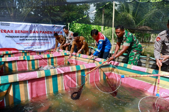 Pemerintah Kabupaten (Pemkab) Aceh Barat melalui Kepala Dinas Kelautan dan Perikanan, Muliadi, menghadiri kegiatan tebar benih dan panen raya program Gerakan Pakan Mandiri (Gepari) serta budidaya ikan lele di Desa Ujung Tanjung, Kecamatan Meureubo, Selasa (9/9/2025). dok. Pemkab Aceh Barat