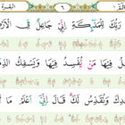 Potongan tampilan bagian mushaf Al-Quran. dok. Kemenag RI