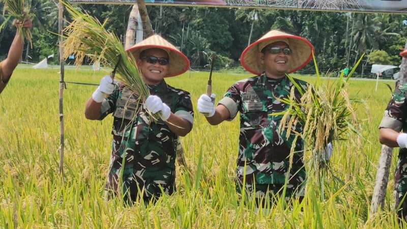 Kasdam IM Brigjen TNI Yudha Fitri hadiri panen raya Padi di Aceh Utara. dok. Pendam IM