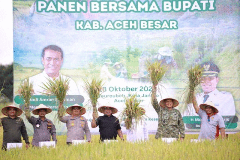 Bupati Aceh Besar Muharram Idris Panen Padi Bersama Kementan RI di Gampong Terbeh, Kota Jantho, Sabtu (18/10/2025) FOTO: PROKOPIM PEMKAB ACEH BESAR