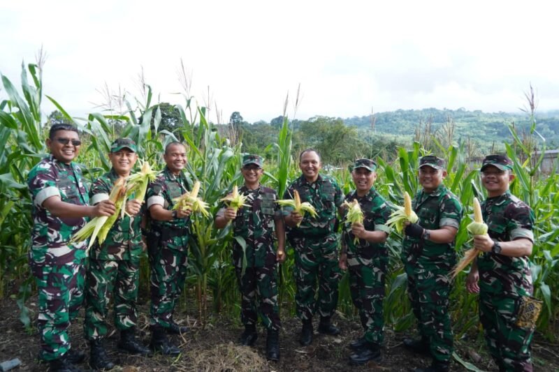 Pangdam Iskandar Muda Tinjau Program Ketahanan Pangan di Brigif TP 90/Yudha Giri Dhanu Aceh Tengah. dok. Pendam IM