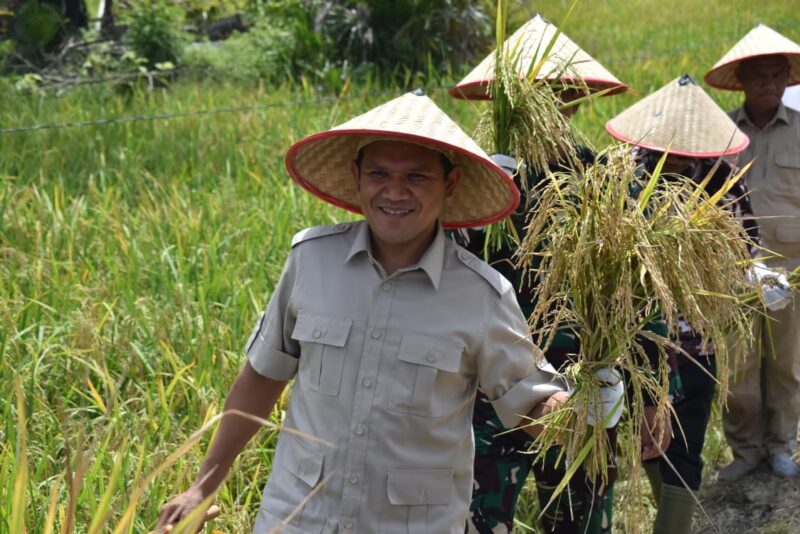 Wakil Gubernur Aceh, Fadhlullah, SE menghadiri kegiatan panen padi di Desa Air Masin, Kecamatan Seruway, Kabupaten Aceh Tamiang, Kamis (6/11/2025). dok. Ist