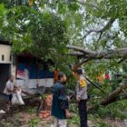 Pohon Tumbang Tutup Jalan, Tim Pamapta Polres Lhokseumawe Bergerak Cepat Datangi Lokasi. Dok. Polres Lhokseumawe