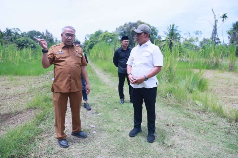 Bupati Aceh Besar, H. Muharram Idris, meninjau lokasi rencana pembangunan Labkesmas di Jalan Gani, Kecamatan Ingin Jaya, Senin (11/5/2026). Foto: Dok. MC Aceh Besar