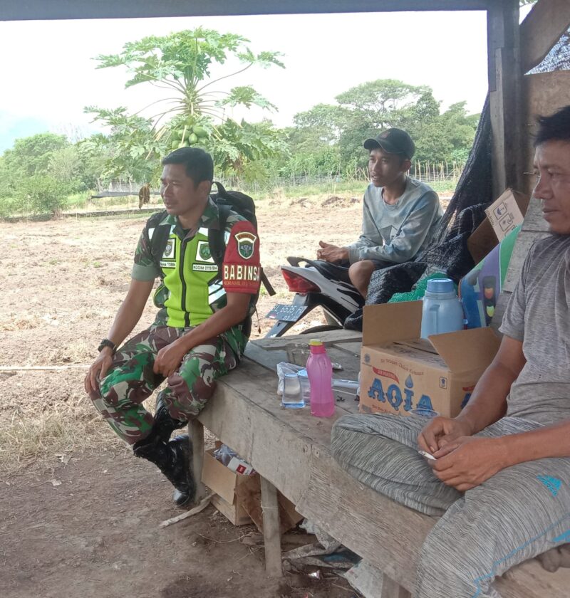 Ket foto: Babinsa Koramil 01/Bandar Serka Imam Tobiin melaksanakan komunikasi sosial (komsos) bersama petani di lahan pertanian.(Dok/Ist)