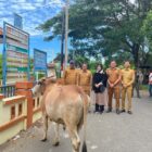 Wali Kota Banda Aceh Illiza Sa’aduddin Djamal menyerahkan secara simbolis hewan qurban Iduladha 1447 H/2026 M kepada perwakilan masyarakat, dayah, dan gampong di Banda Aceh. Foto: Dok. Diskominfo Kota Banda Aceh