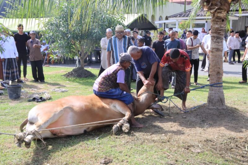 Personel Polda Aceh melakukan prosesi penyembelihan hewan kurban di lingkungan Mapolda Aceh. Tahun ini, sebanyak 46 ekor hewan kurban disalurkan untuk masyarakat dan pesantren di Banda Aceh serta Aceh Besar, Rabu (27/5/2026). Foto: Dok. Istimewa 