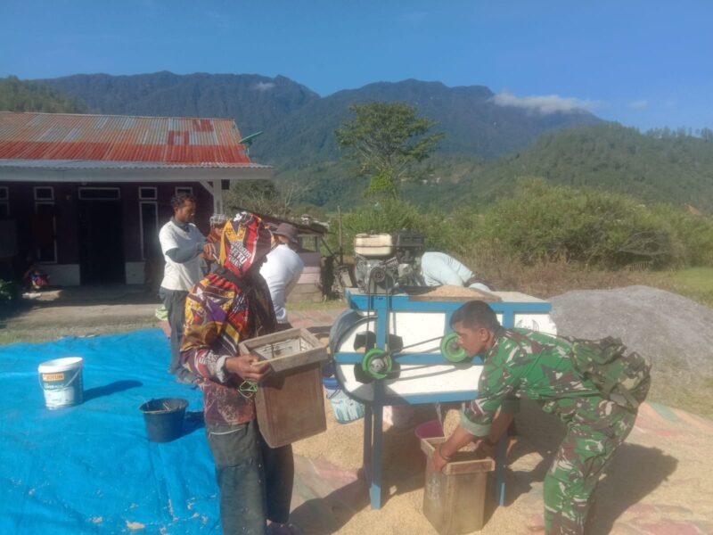 Ket foto: Babinsa Bantu Menggiling Padi .(Dok/Ist)