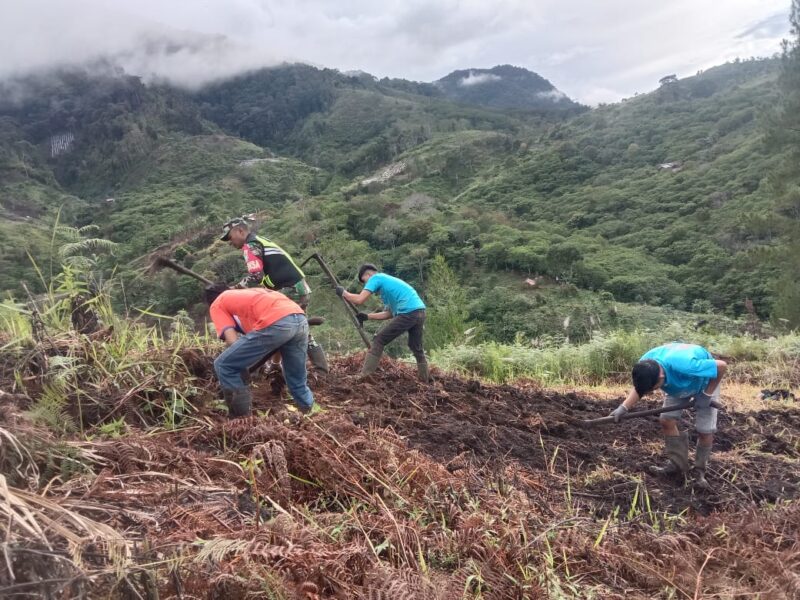 Ket Foto: Babinsa Koramil 04/Bintang Sertu Haidir Adami membantu warga membuka lahan cabai milik Bapak Sapuan.(Dok/Ist)