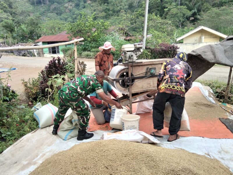 Keterangan Foto: Babinsa Koramil 03/Pegasing Koptu Dedi Saputra membantu warga menggiling padi.(Dok/Ist)