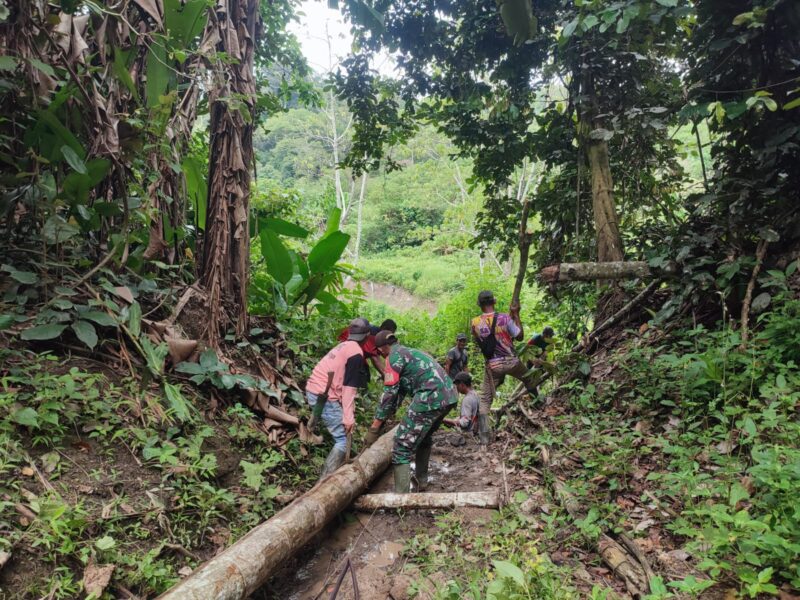 Keterangan Foto: Babinsa Koramil 09/Ketol Sertu Sopian bersama warga Desa Bah melaksanakan gotong royong menarik kayu.(Dok/Ist)