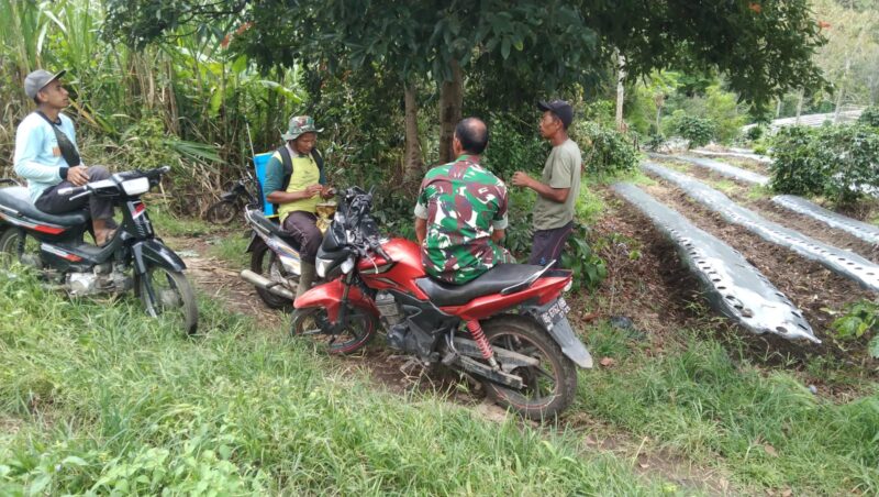 Keterangan Foto: Babinsa Koramil 09/Ketol, Serda Agus, melaksanakan komunikasi sosial (Komsos) bersama masyarakat.(Dok/Ist)
