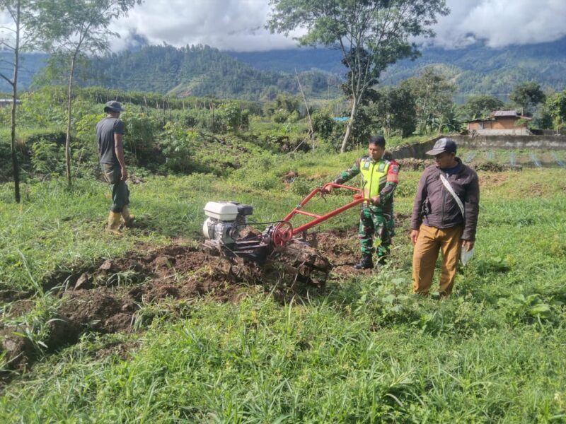 Babinsa Koramil 04/Bintang Sertu Agustia bersama warga saat membantu pembuatan lahan tanam cabai (9/7/2026).(Dok: Ist)