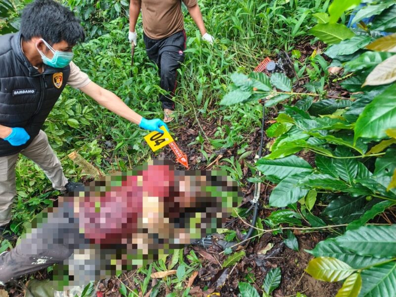 Petugas kepolisian melakukan olah tempat kejadian perkara (TKP) di lokasi penemuan seorang pria yang meninggal dunia di kebun kopi Kampung Weh Resap, Kecamatan Mesidah, Kabupaten Bener Meriah, Jumat (31/7/2026).foto.(dok:Ist)