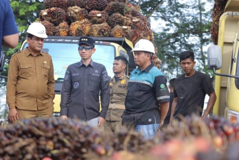 Bupati Aceh Barat Tarmizi SP, MM didampingi Kepala Dinas Perkebunan melakukan inspeksi mendadak (sidak) ke pabrik kelapa sawit di Kecamatan Panton Reu guna memastikan harga pembelian Tandan Buah Segar (TBS) petani sesuai dengan ketetapan pemerintah, Selasa (14/7/2026). Foto: Dok. Pemkab Aceh Barat