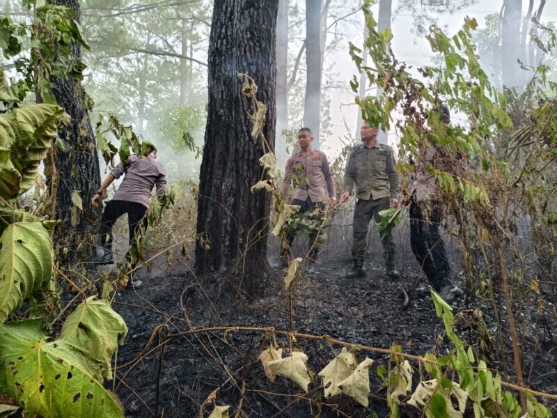 Personel Brimob Polda Aceh melakukan pemadaman kebakaran hutan dan lahan (karhutla) di Gampong Suka Damai, Kecamatan Lembah Seulawah, Kabupaten Aceh Besar, Kamis (30/7/2026). Foto: Dok. Istimewa 