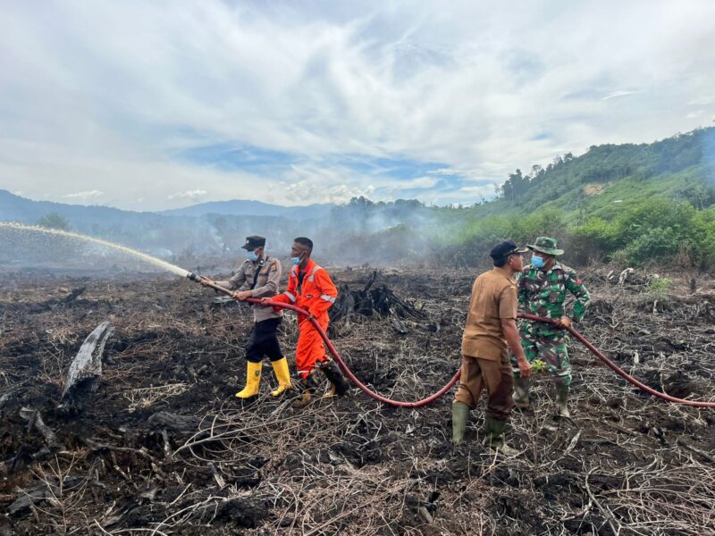 Tim gabungan TNI, Polri, BPBD Aceh Selatan, personel TNGL, pemerintah kecamatan, dan masyarakat melakukan penyisiran serta pendinginan pada area yang masih mengeluarkan asap akibat kebakaran hutan dan lahan di Gampong Drien, Kecamatan Bakongan, Aceh Selatan, Senin (31/8/2026). Foto: Dok. Istimewa 