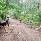 Personel Satgas TMMD Reguler ke-129 Kodim 0107/Aceh Selatan bersama alat berat terus mempercepat pembukaan jalan sepanjang 1,5 kilometer di Desa Kemumu Sebrang, Kecamatan Labuhanhaji Timur, Selasa (4/8/2026). Foto: Dok. Istimewa