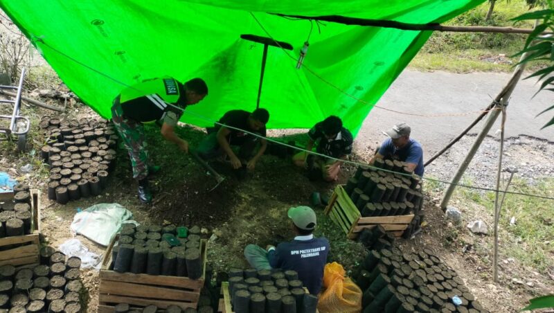 Ket foto: Babinsa Koramil 04/Bintang Sertu Firman Wahyudi membantu warga mengisi polibag bibit kopi di Desa Sintef.(dok:Ist)