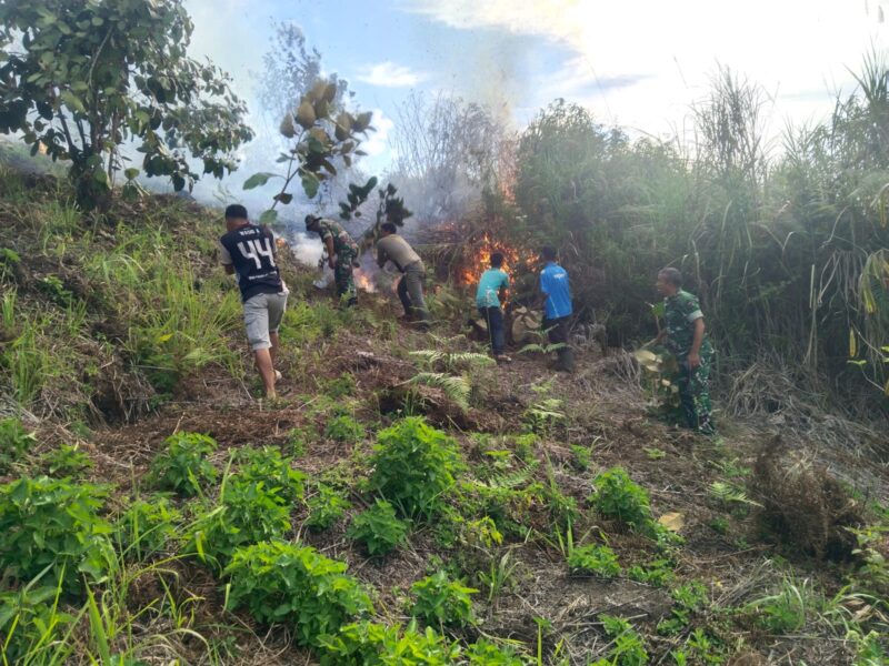 Personel Koramil 02 dan Koramil 03 jajaran Kodim 0106/Aceh Tengah bersama aparatur desa dan warga melakukan pemadaman kebakaran hutan dan lahan, Rabu (26/8/2026).foto:dok:Ist