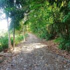 Warga Desa Kemumu Seberang mulai memanfaatkan jalan sepanjang 1,5 kilometer yang dibuka melalui program TMMD ke-129 Kodim 0107/Aceh Selatan, Rabu (12/8/2026). Foto: Dok. Istimewa